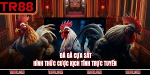 Đá Gà Cựa Sắt - Hình Thức Cược Kịch Tính Trực Tuyến