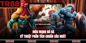 Màu Mạng Đá Gà - Kỹ Thuật Phân Tích Chuẩn Xác Nhất