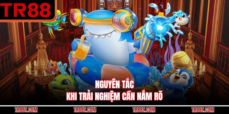 Nguyên tắc khi trải nghiệm cần nắm rõ