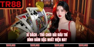 Xì Dách - Trò Chơi Bài Đấu Trí Đình Đám Bậc Nhất Hiện Nay